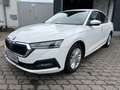 Skoda Octavia Lim. Ambition 2.0 TDI*1.HD*40xVerfügbar* Blanc - thumbnail 1