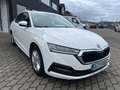 Skoda Octavia Lim. Ambition 2.0 TDI*1.HD*40xVerfügbar* Blanc - thumbnail 4