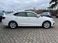 Skoda Octavia Lim. Ambition 2.0 TDI*1.HD*40xVerfügbar* Blanc - thumbnail 5