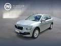 Skoda Kamiq Selection TSI Silber - thumbnail 1