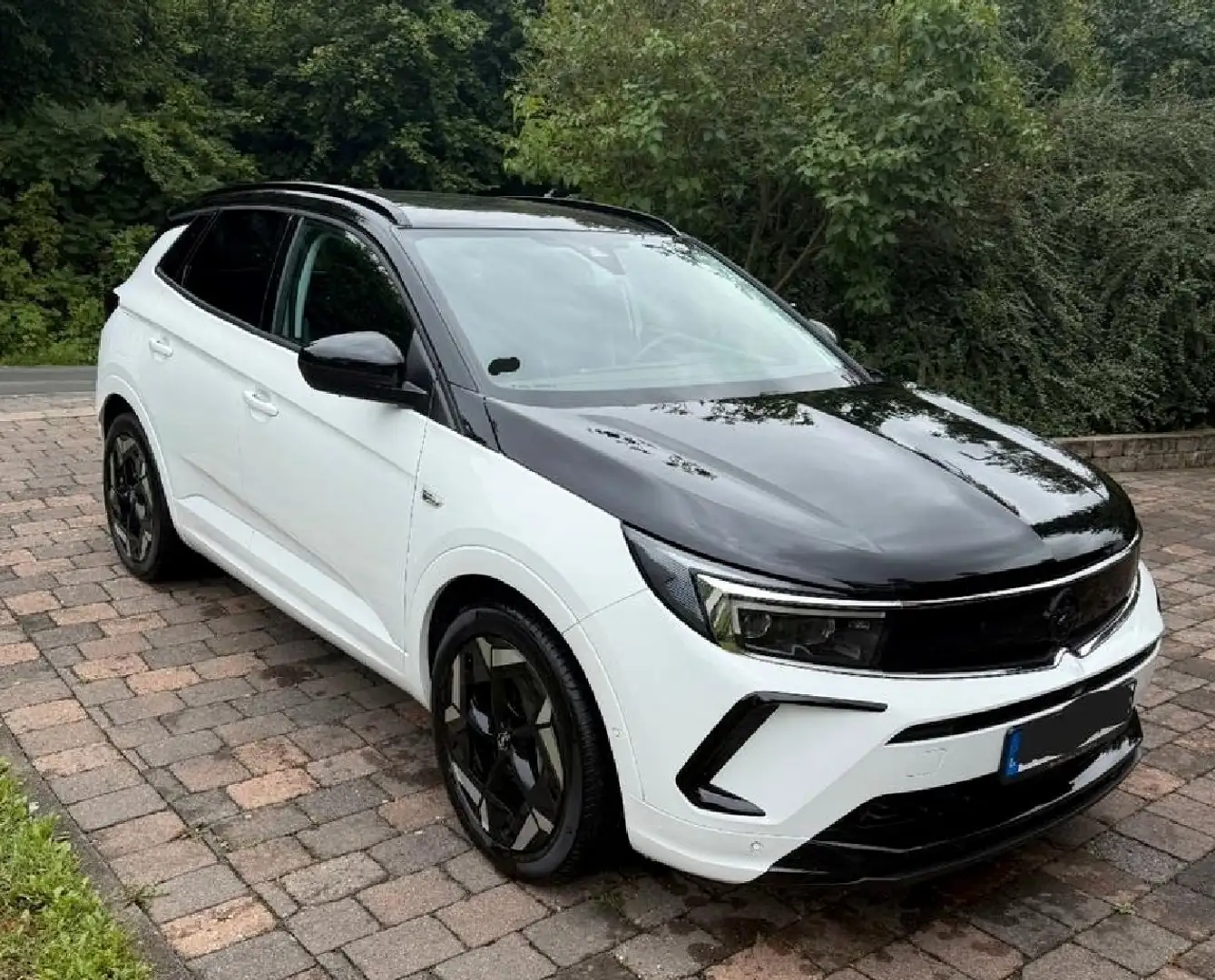 Opel Grandland X Weiß - 1
