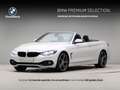 BMW 420 4 Serie 420i High Executive Cabrio Wit - thumbnail 1