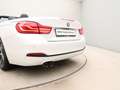 BMW 420 4 Serie 420i High Executive Cabrio Wit - thumbnail 33