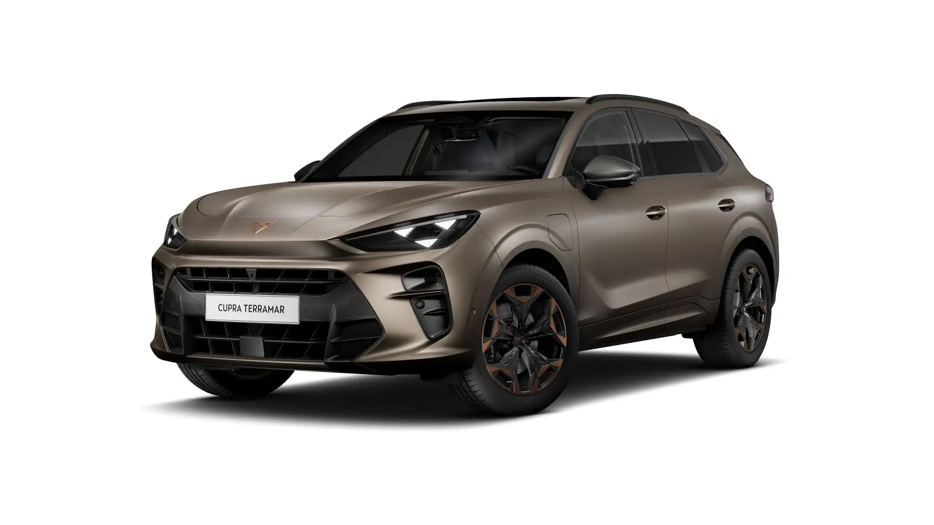 CUPRA Terramar Business | 360 graden camera | Achteruitrijcamera Bruin - 1
