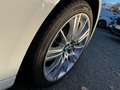 BMW 325 Cabrio 325d  Automatik, Xenon, M Sportpaket Weiß - thumbnail 19
