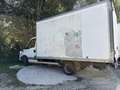 Iveco Daily 35C11 - thumbnail 6