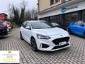 Ford Focus SW 1.0 EcoBoost 125CV ST-Line -PREZZO REALE- Blanc - thumbnail 1