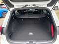 Ford Focus SW 1.0 EcoBoost 125CV ST-Line -PREZZO REALE- Blanc - thumbnail 5