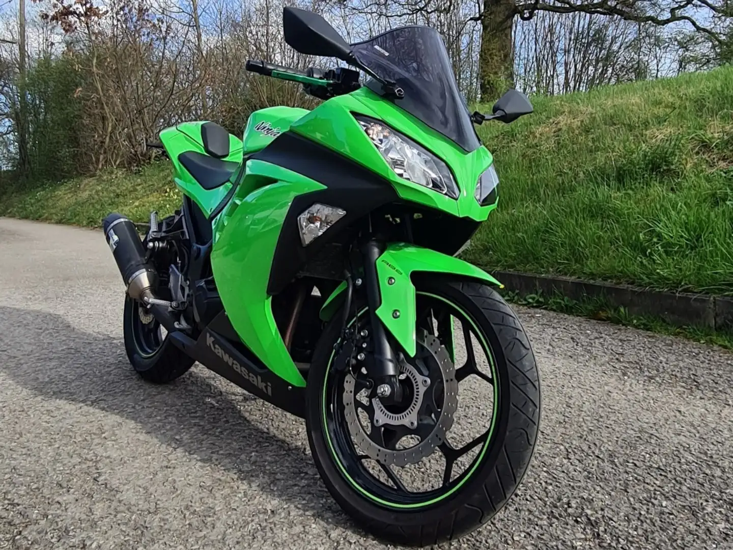 Kawasaki Ninja 300 ABS zelena - 2