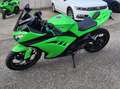 Kawasaki Ninja 300 ABS zelena - thumbnail 1