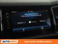 Skoda Kodiaq 2.0 TDI Sportline 4x4 Grau - thumbnail 24