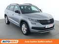 Skoda Kodiaq 2.0 TDI Sportline 4x4 Grau - thumbnail 8