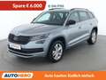 Skoda Kodiaq 2.0 TDI Sportline 4x4 Grau - thumbnail 1