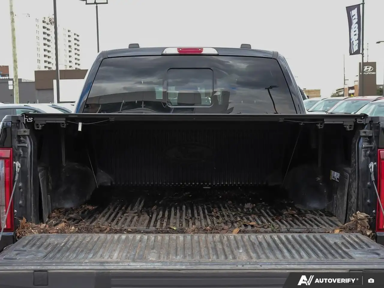 Ford F 150 fotografie Ford F 150