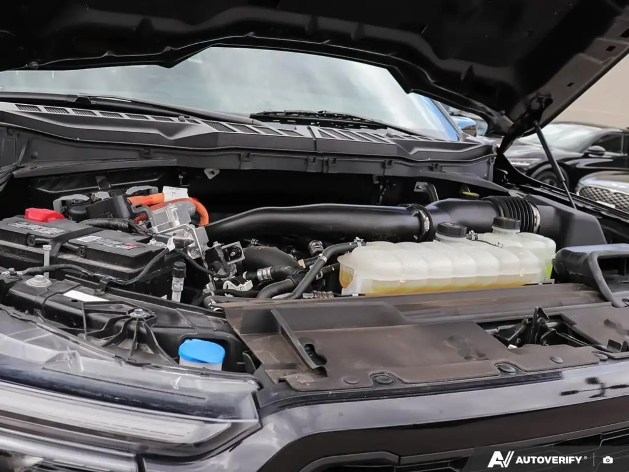 Ford F 150 fotografie Ford F 150