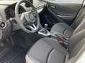 Mazda 2 SKYACTIV-G 75 Center-Line Blanc - thumbnail 6
