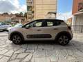 Citroen C3 C3 BlueHDi 100 S&S Shine Beige - thumbnail 8