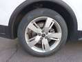Audi Q5 Edition 35 TDI 120 kW (163 CV) S tronic Blanco - thumbnail 3