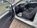 Volkswagen Golf VII 1.6 TDI Cup BMT Wit - thumbnail 17