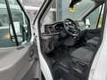 Ford Transit 350 2.0 EcoBlue 130pk MHEV L4H3 Trend Mild-Hybride Wit - thumbnail 12