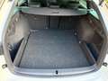 Skoda Octavia Combi RS DSG / Navi / ACC / Alu 19" Blanco - thumbnail 26
