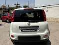 Fiat Panda Panda 1.0 firefly hybrid City Life s Blanc - thumbnail 5