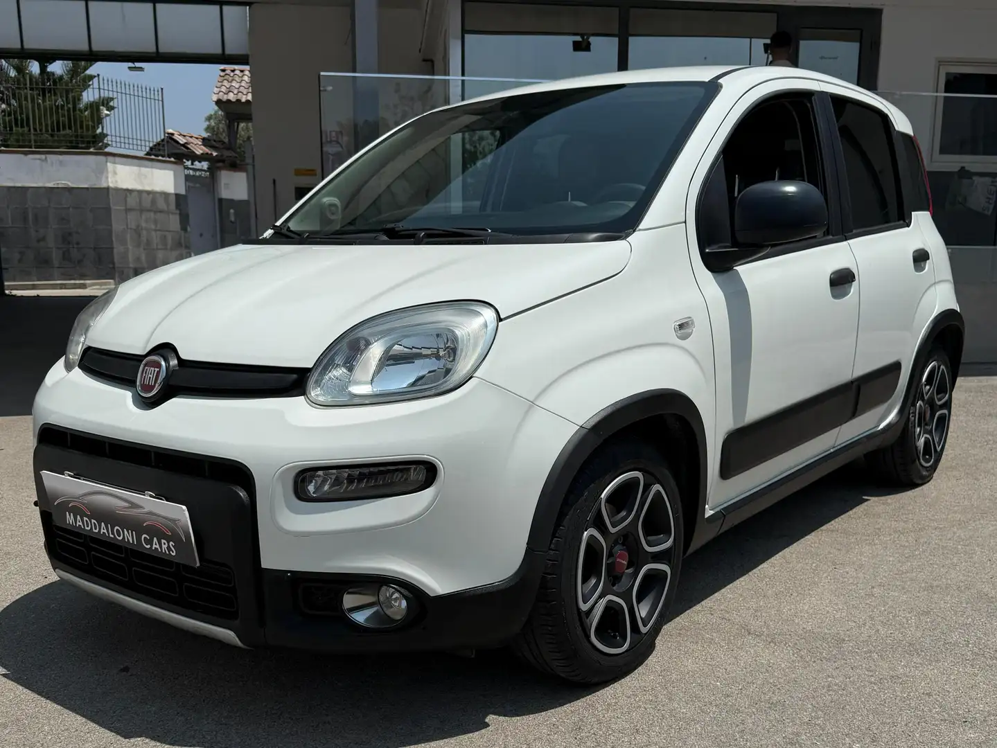 Fiat Panda Panda 1.0 firefly hybrid City Life s Blanc - 1