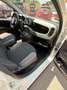 Fiat Panda Panda 1.0 firefly hybrid City Life s Blanc - thumbnail 10