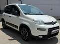 Fiat Panda Panda 1.0 firefly hybrid City Life s Blanc - thumbnail 3