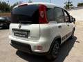 Fiat Panda Panda 1.0 firefly hybrid City Life s Blanc - thumbnail 4