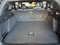 Ford Focus Focus Turnier Turnier 2.3 EcoBoost S Schwarz - thumbnail 11
