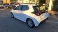 Toyota Yaris Yaris IV 2020 1.5h Active Bianco - thumbnail 14