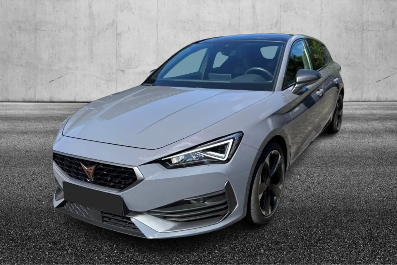 CUPRA Leon 2.0 TSI 245 CV DSG Grigio - 1