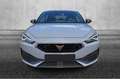 CUPRA Leon 2.0 TSI 245 CV DSG Grigio - thumbnail 5