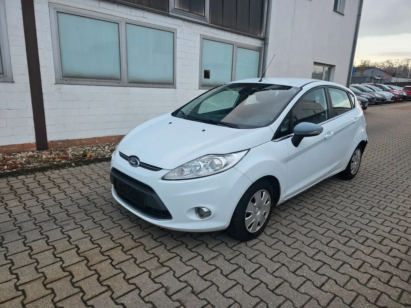 Ford Fiesta 1,6 TDCi 70kW DPF Titanium Euro 5 Weiß - 1