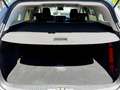 Ford Focus Traveller 1,5 EcoBlue Trend Grau - thumbnail 7