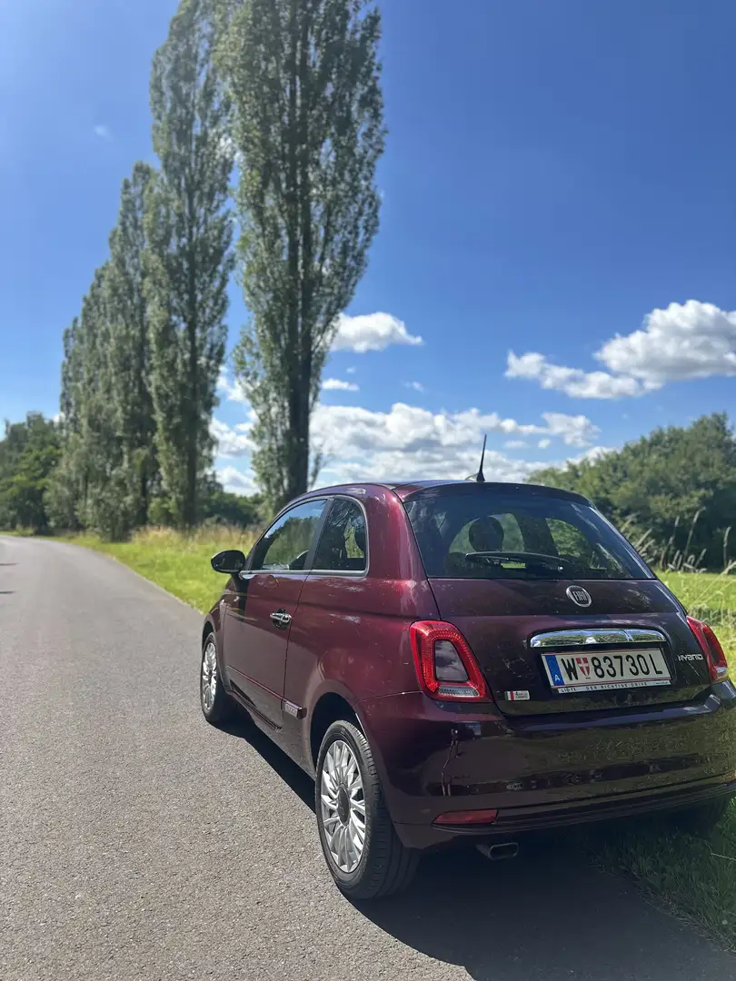 Fiat 500 FireFly Hybrid 70 Lounge - 1