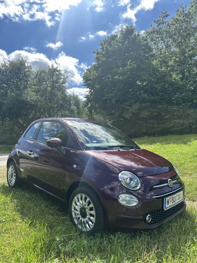 Fiat 500 FireFly Hybrid 70 Lounge - 2