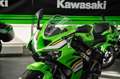 Kawasaki Ninja ZX-6R SC-Project, sofort lieferbar Verde - thumbnail 17