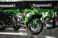 Kawasaki Ninja ZX-6R SC-Project, sofort lieferbar Verde - thumbnail 3