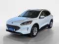 Ford Kuga 1,5 EcoBlue Titanium Weiß - thumbnail 1
