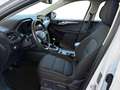 Ford Kuga 1,5 EcoBlue Titanium Weiß - thumbnail 9