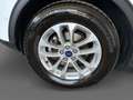 Ford Kuga 1,5 EcoBlue Titanium Weiß - thumbnail 14
