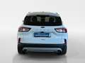 Ford Kuga 1,5 EcoBlue Titanium Weiß - thumbnail 4