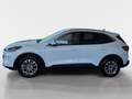 Ford Kuga 1,5 EcoBlue Titanium Weiß - thumbnail 2