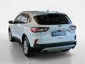 Ford Kuga 1,5 EcoBlue Titanium Weiß - thumbnail 3