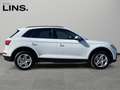Audi Q5 40 TDI quattro intense Weiß - thumbnail 6