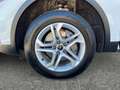 Audi Q5 40 TDI quattro intense Weiß - thumbnail 14