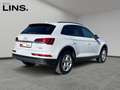 Audi Q5 40 TDI quattro intense Weiß - thumbnail 5
