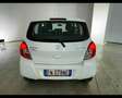 Suzuki Celerio 1.0 L Weiß - thumbnail 7